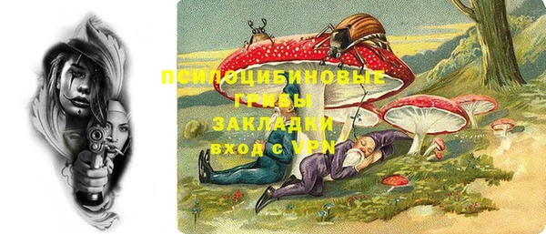 ПСИЛОЦИБИНОВЫЕ ГРИБЫ Навашино
