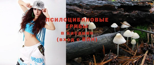ПСИЛОЦИБИНОВЫЕ ГРИБЫ Навашино