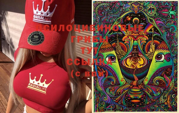 прущая мука Надым